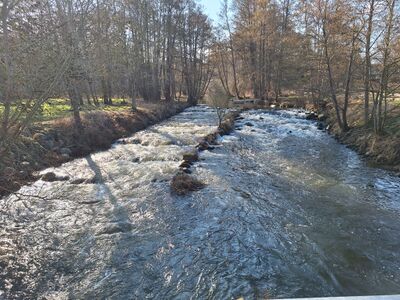 Die Warnow