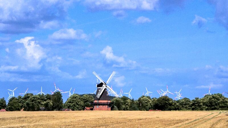 Datei:Fotopa Goldenbow 1.jpg