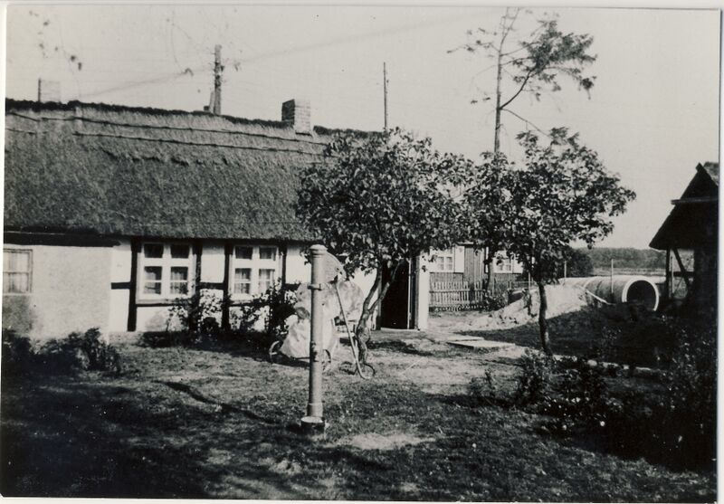 Datei:1980 Knape.jpg
