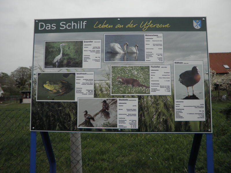 Datei:Neppermin Tafel 2.jpg