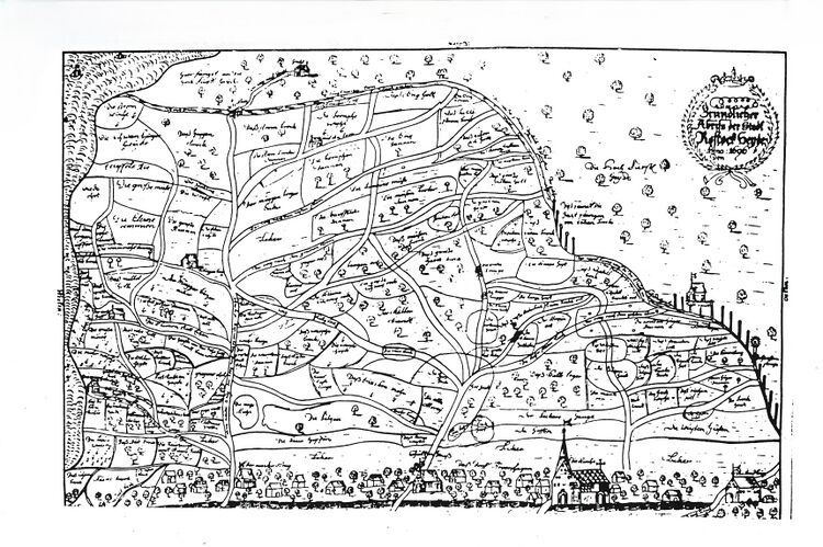 RH Oelsnitz Forstwirtschaftsgeschichte NÖM 1955 162