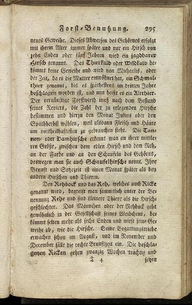 Datei:Fiedler Handbuch Forstwirtschaft 1796-304.jpg
