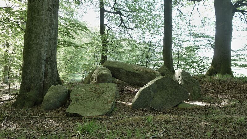 Datei:Hünengräber Herrenholz 4.jpg