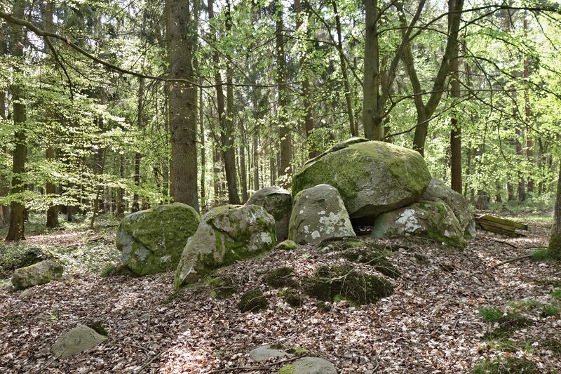 Datei:Hünengräber Serrahn 1.jpg