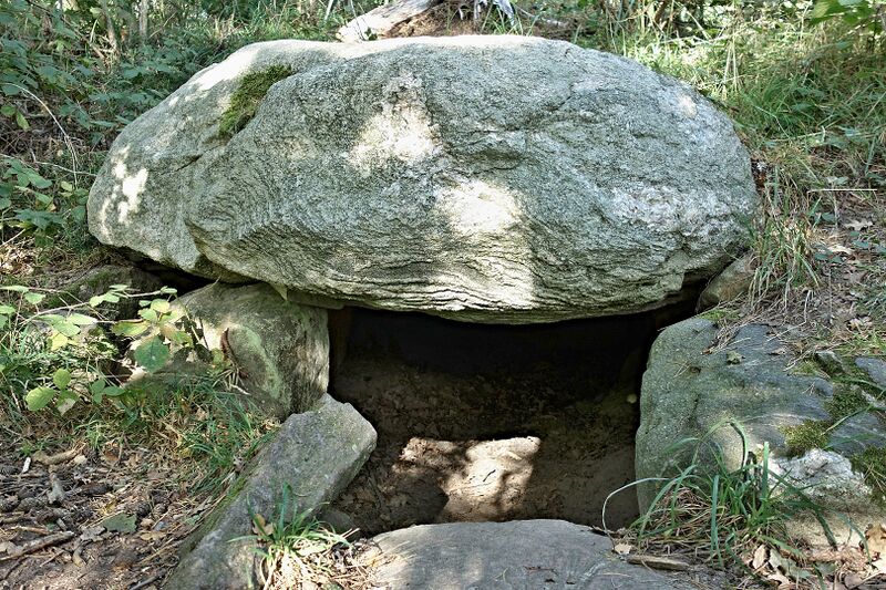 Datei:Hünengräber Burtevitz 3 3.jpg