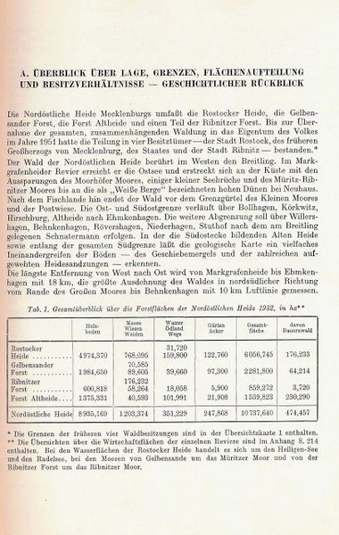Datei:Kolp Nordöstliche Heide 0003.jpg