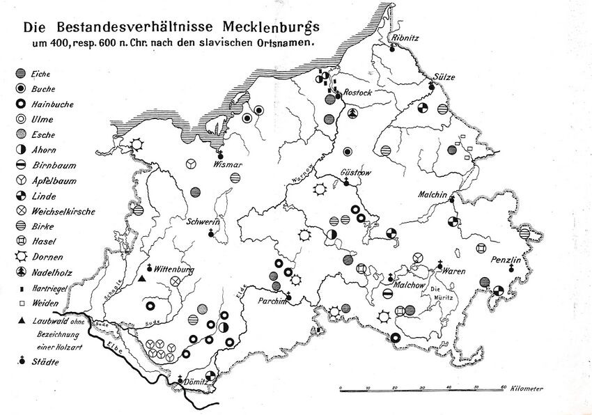 1921 Parchmann Meckl Forstw 000d