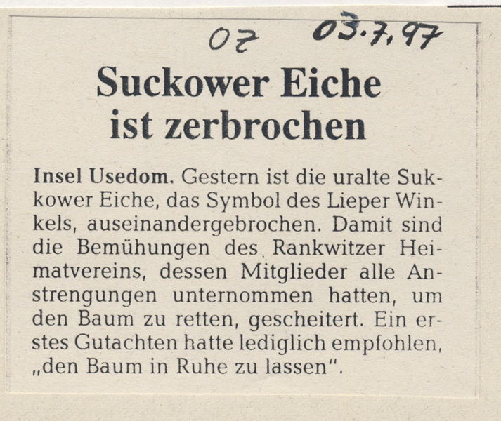 Datei:1997 Eiche zerbrochen.jpg