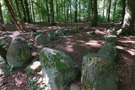 Hünengräber Everstorfer Forst Nordgr 4.jpg