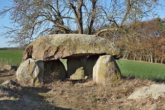 Hünengräber Neu-Ruthenbeck 1.jpg