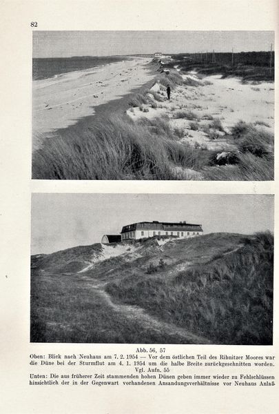 Datei:Kolp Nordöstliche Heide 0082.jpg
