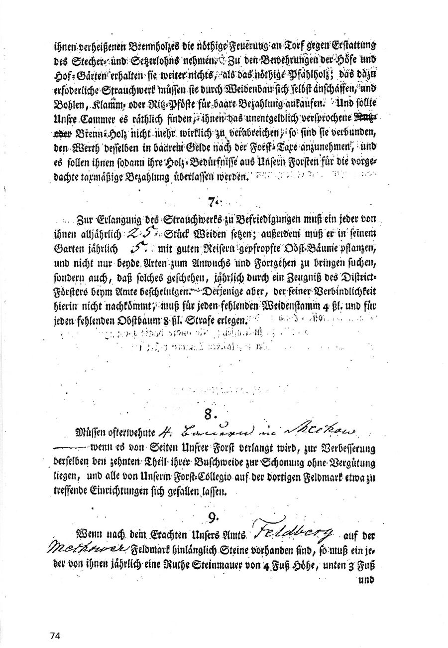 Mechow Goetsch 2004 74