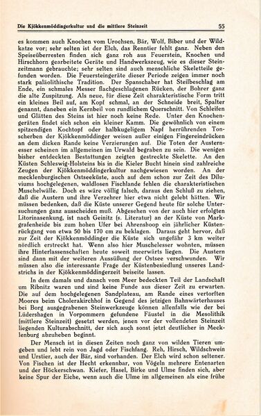 Datei:Ribnitz Kühl 055.jpg