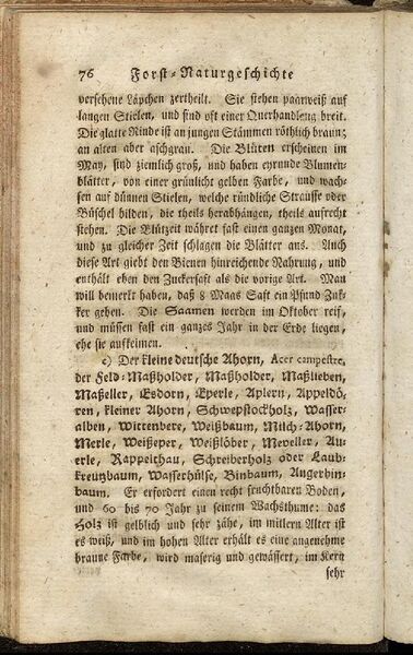 Datei:Fiedler Handbuch Forstwirtschaft 1796-085.jpg