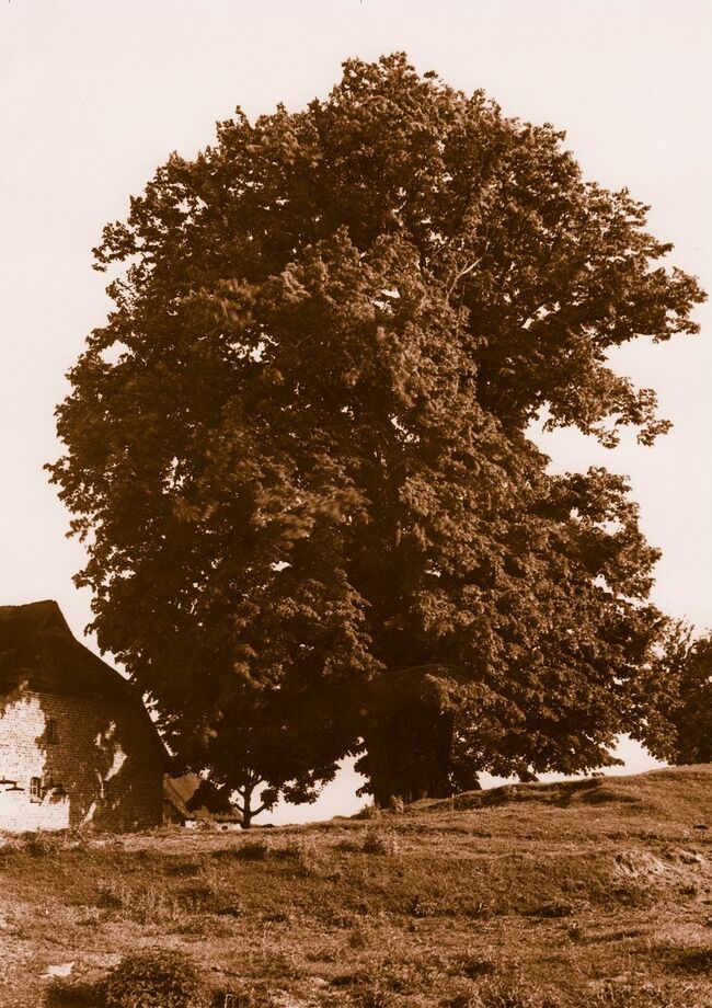 Margot Krempin Körkwitz - Chronik 1912 S002