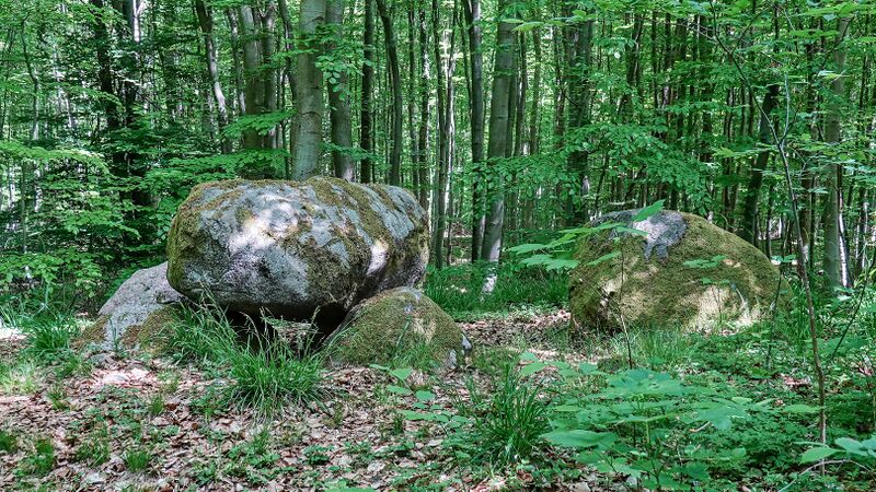 Datei:Hünengräber Waren 1 1.jpg
