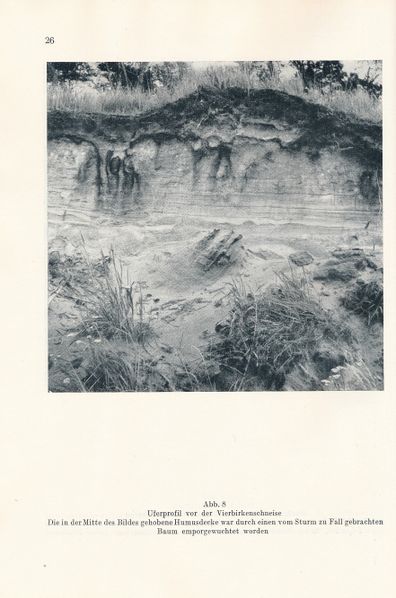 Datei:Kolp Nordöstliche Heide 0026.jpg