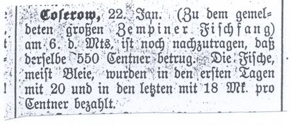 Wolgaster Anzeiger 25.01.1900