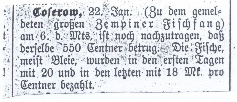 Datei:WolgAnz25011900 c.jpg