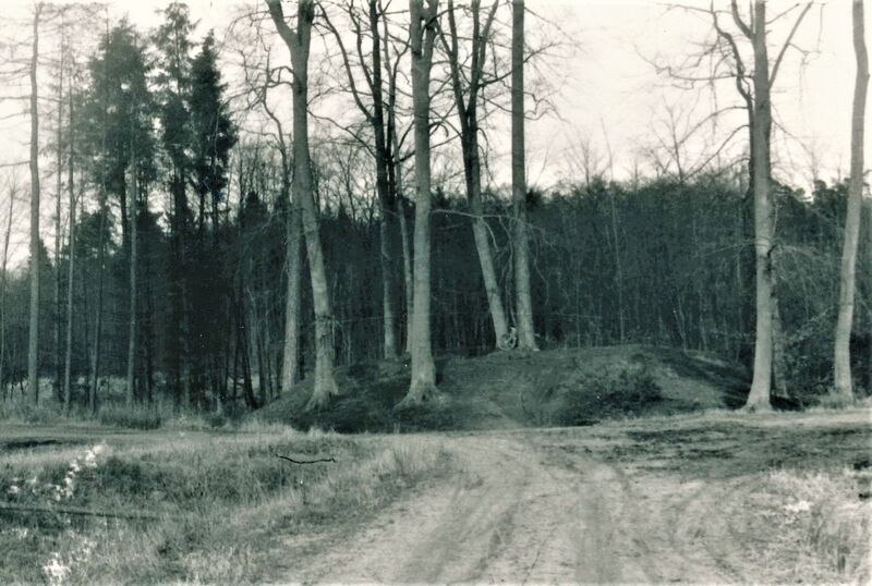 Datei:Gelbensande Wallberg 1984 a.jpg