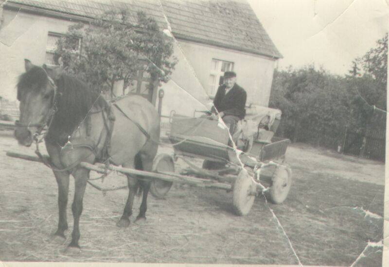 Datei:Pferdegespann.jpg