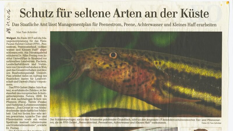 Datei:2016 Naturschutz Peene 1.jpg