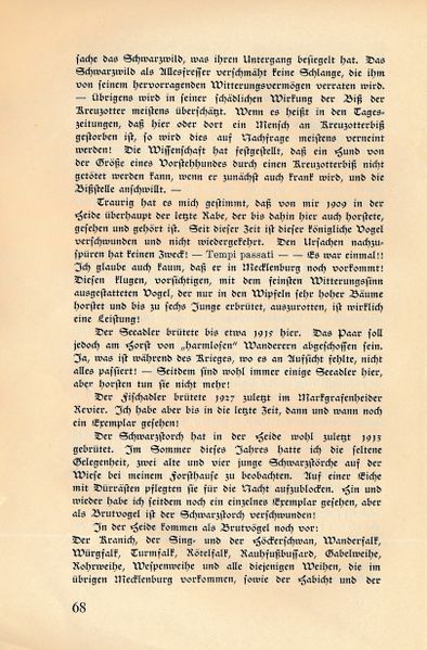 Datei:Köst 68.jpg