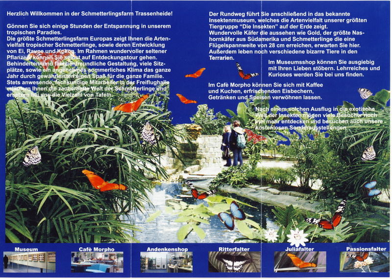 Datei:Schmetterling 2.jpg