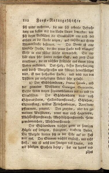 Datei:Fiedler Handbuch Forstwirtschaft 1796-119.jpg