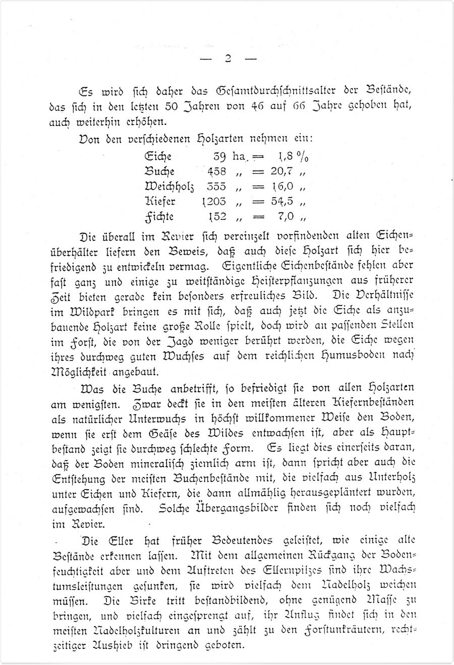 Gelb Forst Ausflug 1909 02