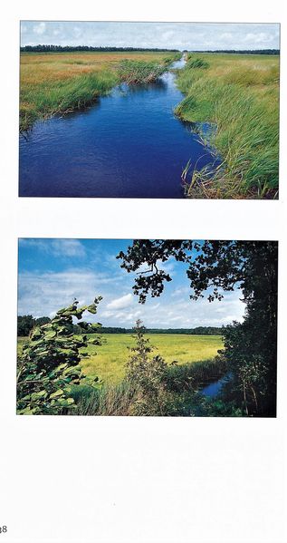 Datei:Rostocker Heide Meckl Landsch 38.jpg
