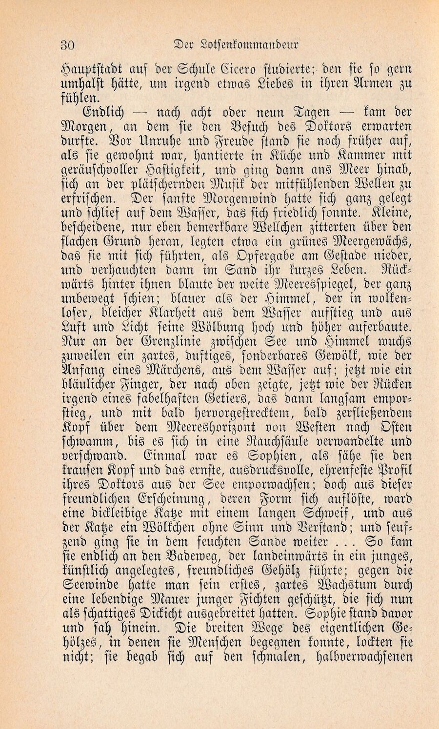Wilbrandt Ausz Lotsenkommandeur 1877 30