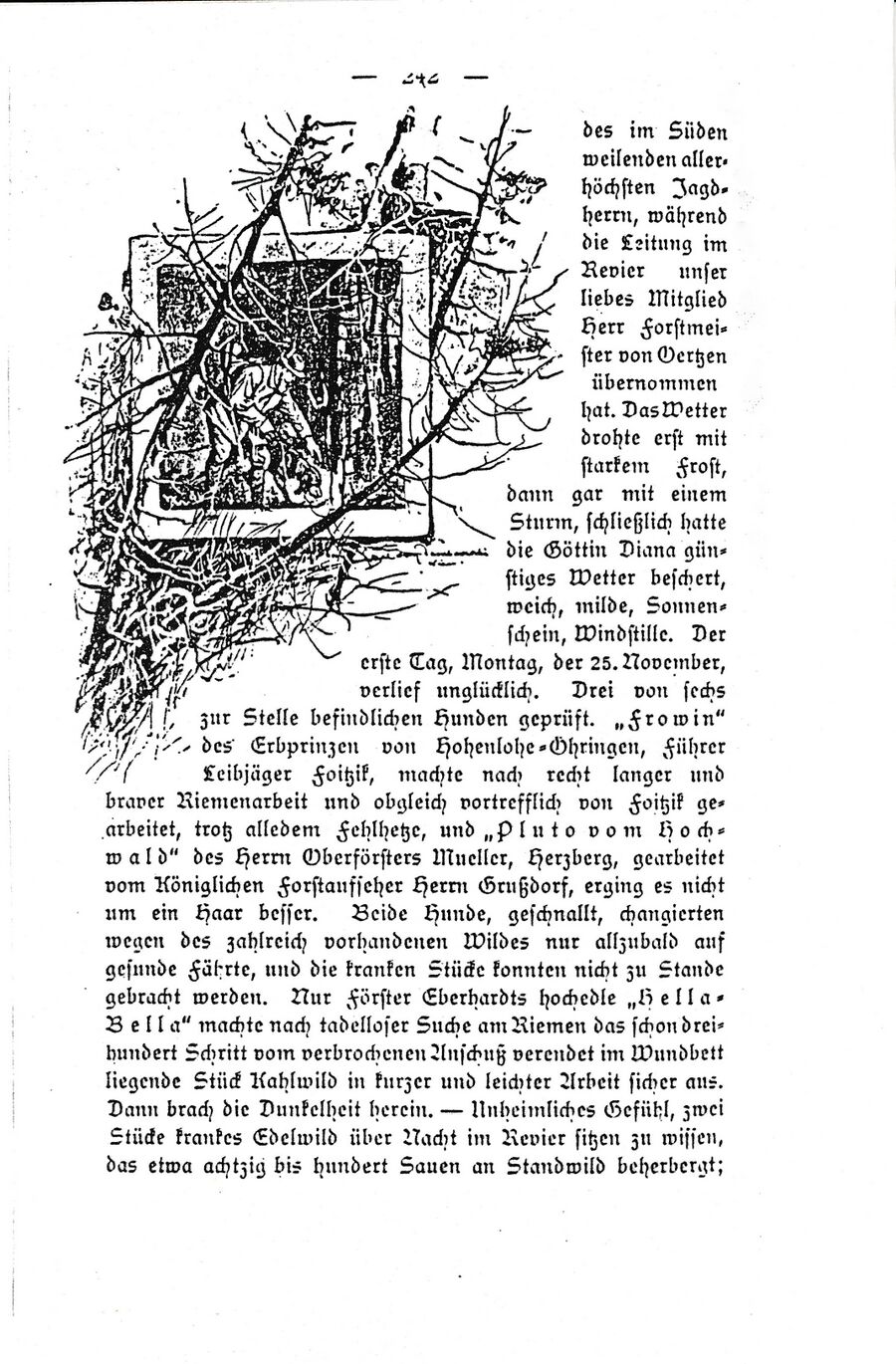 Gelb Forst Ausflug Reichs-Jagdhundeverein 18951 03