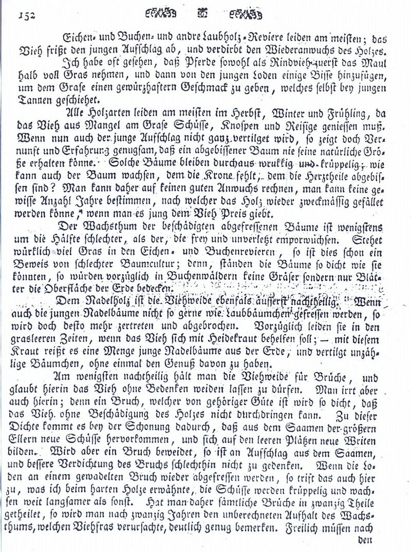 Becker von der Holzweide 1799 2
