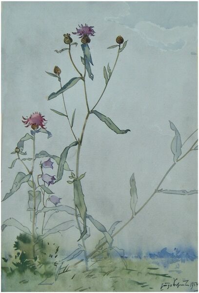 Datei:Scheele 1954 Wiesenblumen.jpg