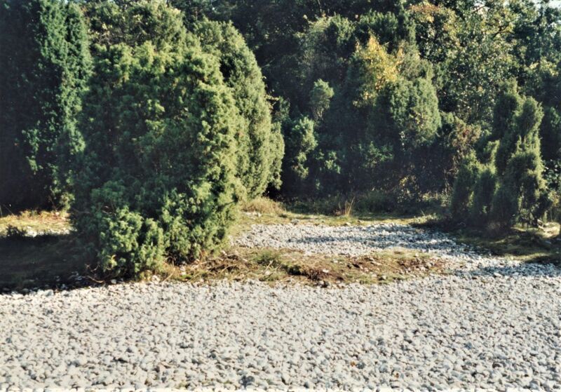 Datei:1996 Feuersteinfelder 2.jpg