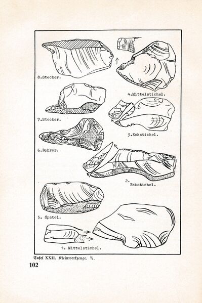 Datei:Fischland Bastian Boddenfund 102.jpg