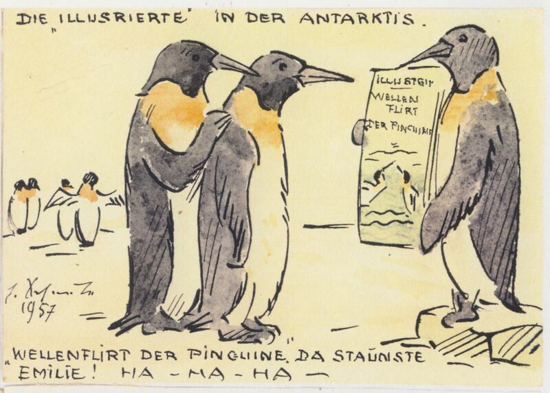 Datei:Scheele Pinguine 1957.jpg