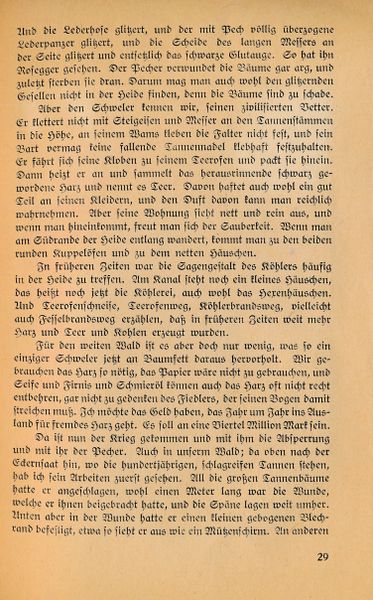 Datei:Ahrens Kleinod 29.jpg