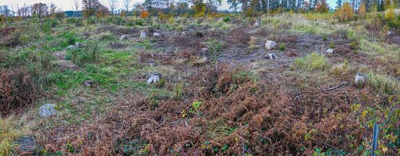 Hünengräber Pöglitz Steinkreis.jpg