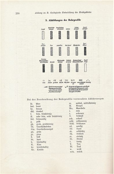 Datei:Kolp Nordöstliche Heide 0218.jpg