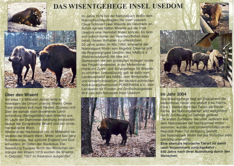 Datei:Prospekt 2.jpg
