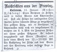 Wolgaster Anzeiger 1900