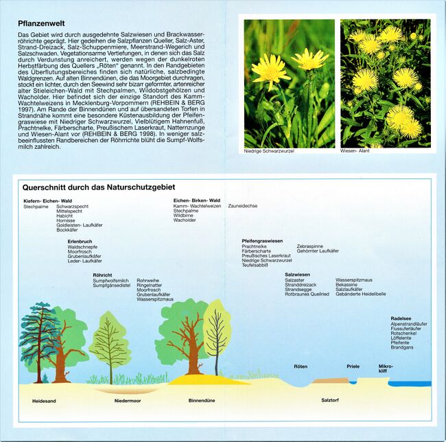 RH SFA Radelsee_Flyer 06