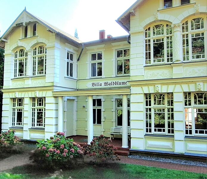 Datei:Zempin-Villa Waldblume 2024.jpg