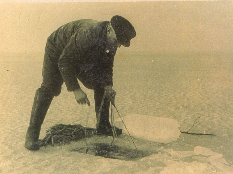 Datei:Eis 0127.jpg