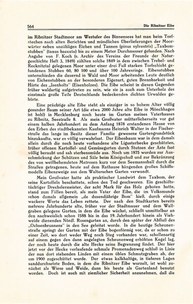 Datei:Kühl Ribnitz 564.jpg