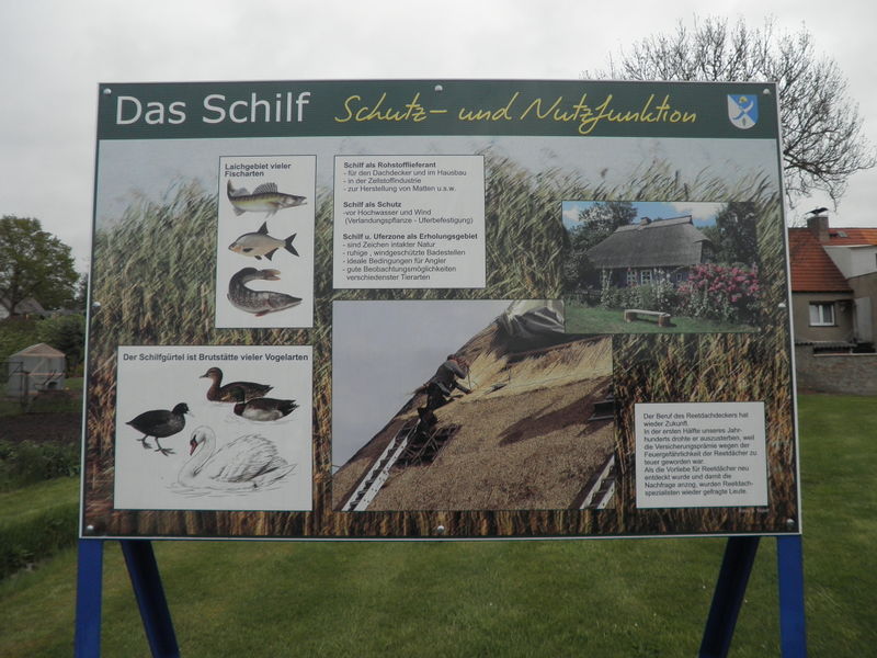 Datei:Neppermin Tafel 5.jpg