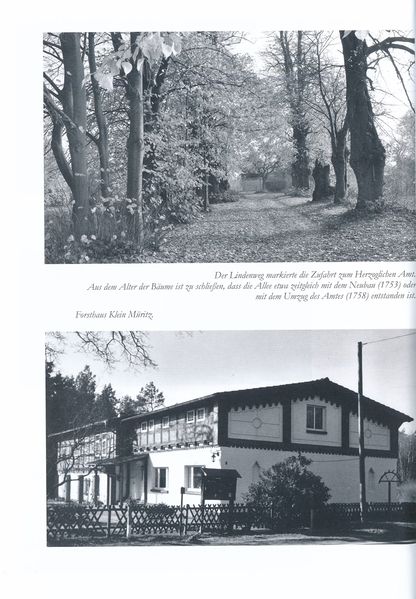 Datei:Hirschb Wies 291.jpg