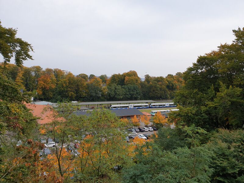 Datei:Heringsdorf Baumwipfelpfad 2021-8.jpg